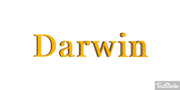 Darwin Metin efekti