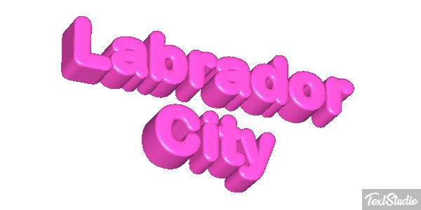 Labrador City Efekt tekstowy