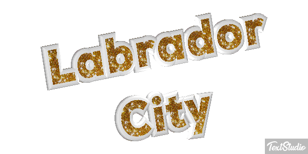 Labrador City Efekt tekstowy