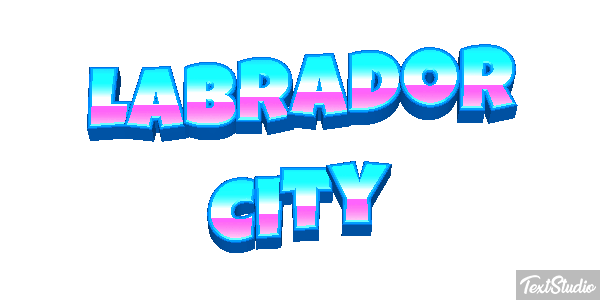 Labrador City Efekt tekstowy
