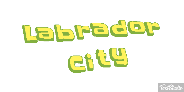 Labrador City Efekt tekstowy