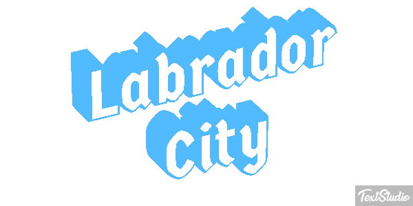 Labrador City Efekt tekstowy
