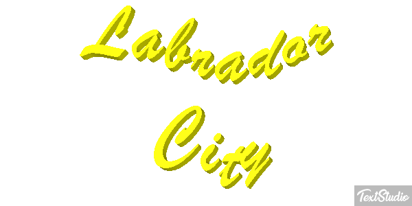 Labrador City Efekt tekstowy