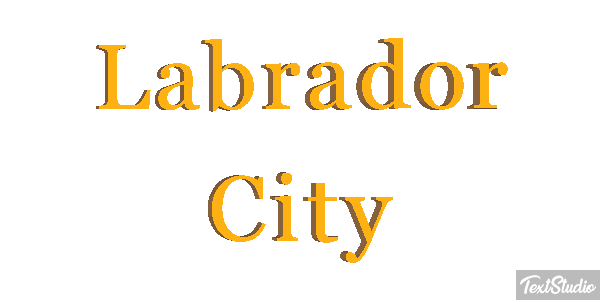 Labrador City Efekt tekstowy