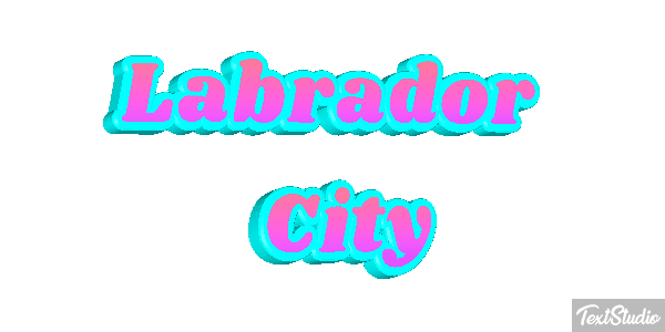 Labrador City Efekt tekstowy