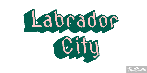 Labrador City Efekt tekstowy