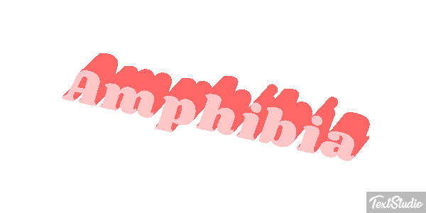 Amphibia Texteffekt