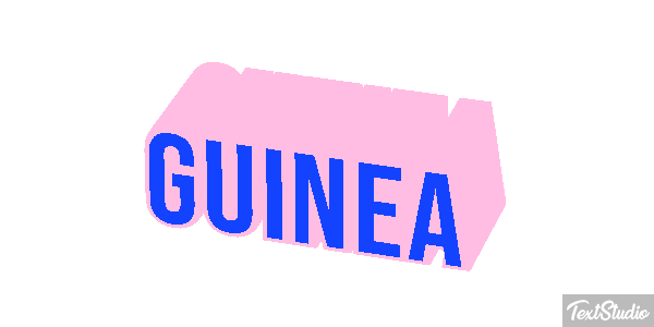 Guinea テキスト効果