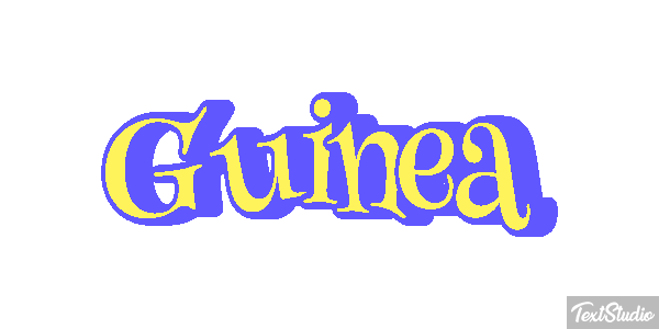 Guinea テキスト効果