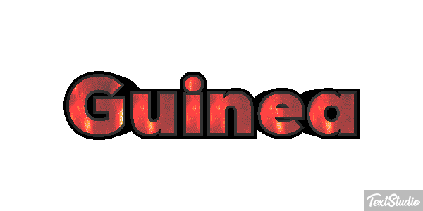 Guinea テキスト効果