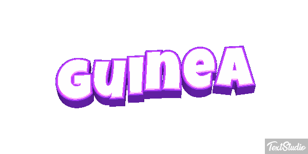 Guinea テキスト効果