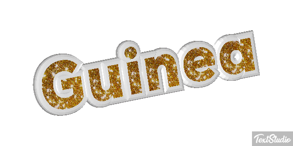 Guinea テキスト効果