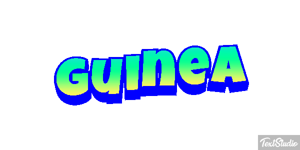 Guinea テキスト効果