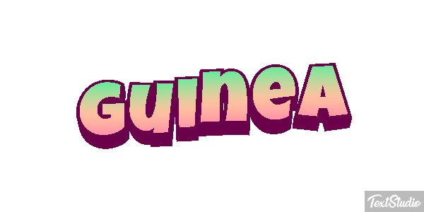 Guinea テキスト効果