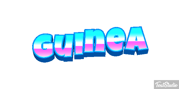 Guinea テキスト効果