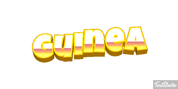 Guinea テキスト効果