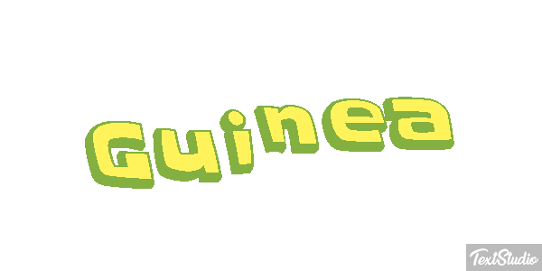 Guinea テキスト効果