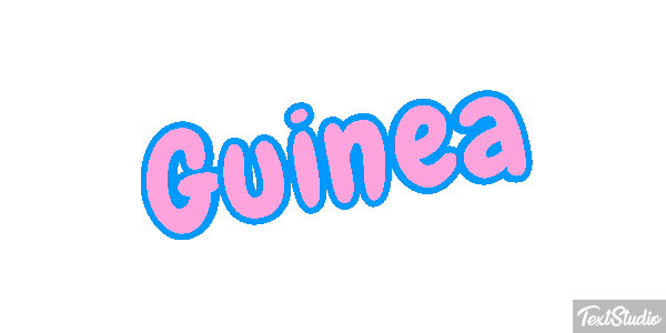 Guinea テキスト効果