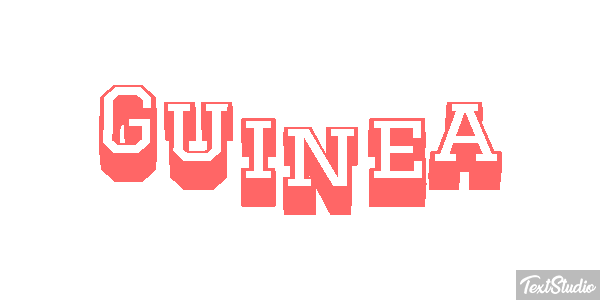 Guinea テキスト効果