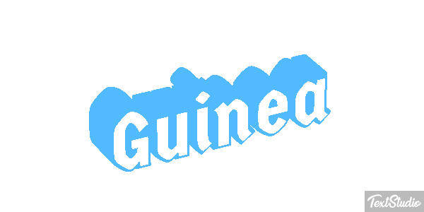 Guinea テキスト効果