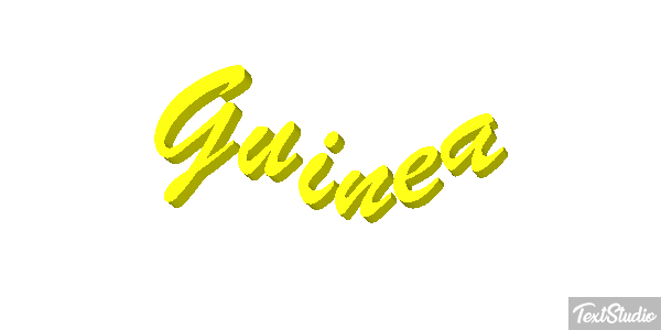 Guinea テキスト効果