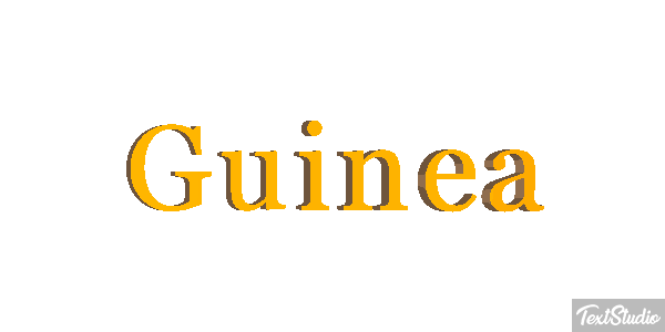 Guinea テキスト効果