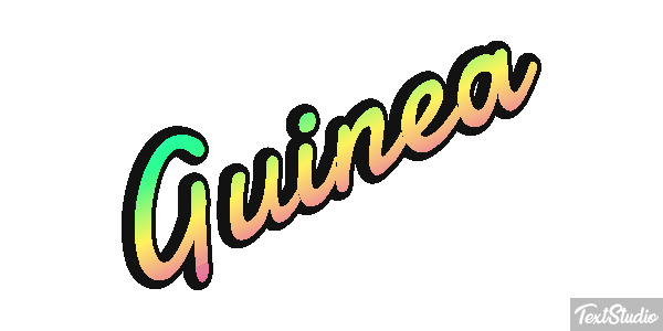Guinea テキスト効果