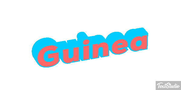 Guinea テキスト効果