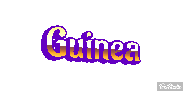 Guinea テキスト効果