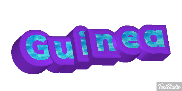Guinea テキスト効果