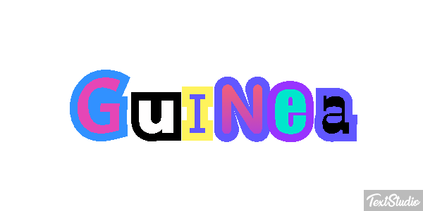 Guinea テキスト効果