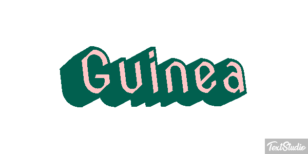 Guinea テキスト効果