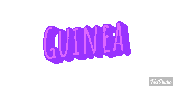 Guinea テキスト効果