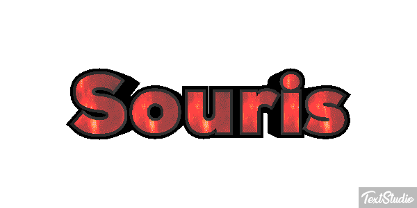 Souris Effetto testo