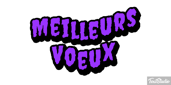 Meilleurs Voeux Text effect