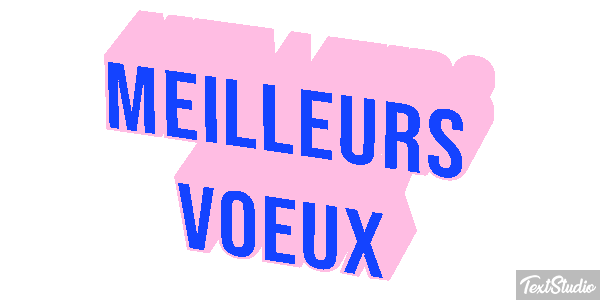 Meilleurs Voeux Text effect