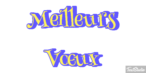 Meilleurs Voeux Text effect