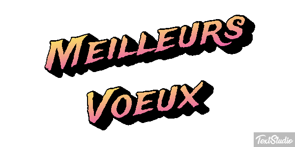 Meilleurs Voeux Text effect