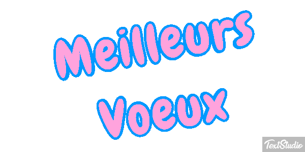 Meilleurs Voeux Text effect