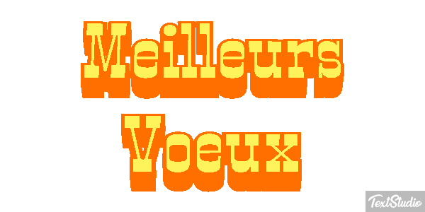 Meilleurs Voeux Text effect