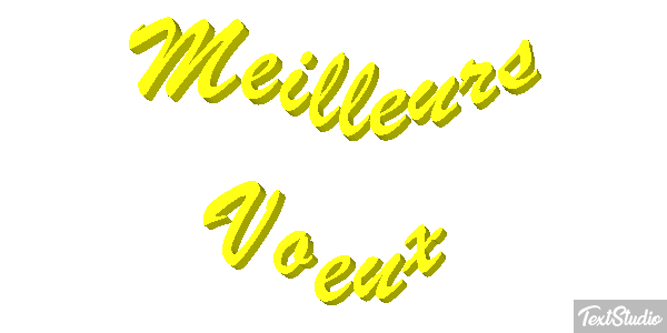 Meilleurs Voeux Text effect