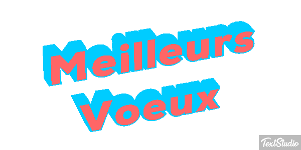 Meilleurs Voeux Text effect