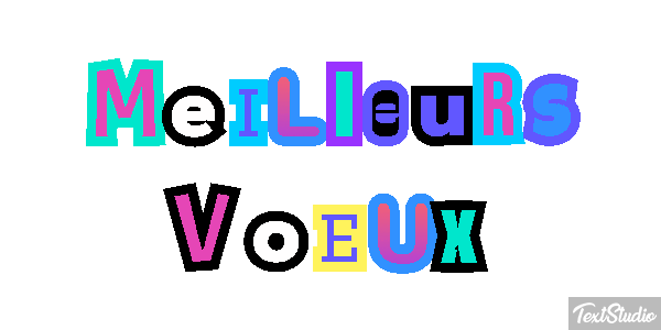 Meilleurs Voeux Text effect