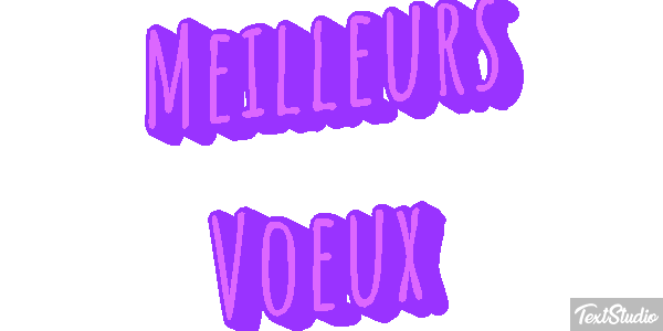 Meilleurs Voeux Text effect