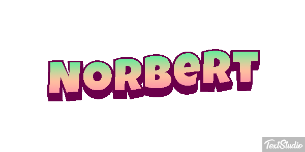 Norbert Effetto testo