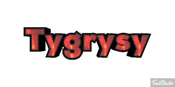 Tygrysy Tekst effect