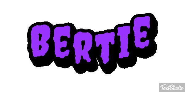 Bertie Text effect