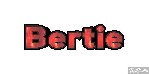 Bertie Text effect