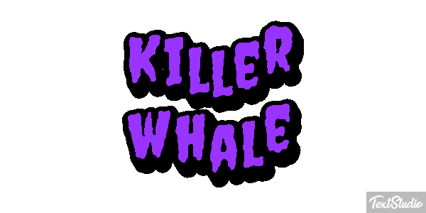 Killer whale Effet de texte