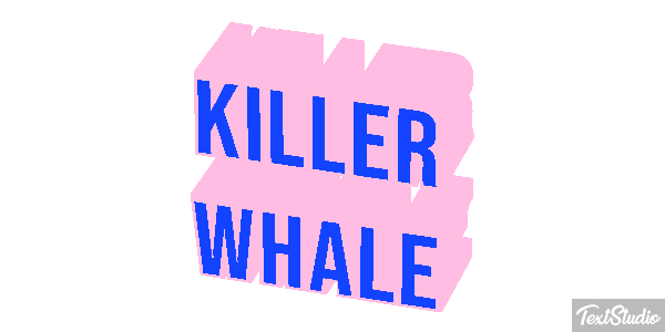 Killer whale Effet de texte